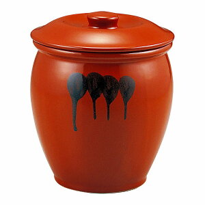  31W 2Wtrij 52828-751