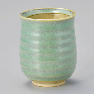  31W qXCϗqہij 54735-281