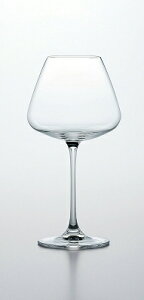 mX؃KX DESIRE fUCA[ COX uS[j 590ml RN-13285CS-JAN-1 1