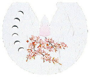 p vol.20 _aԂڂ  (100) 64573