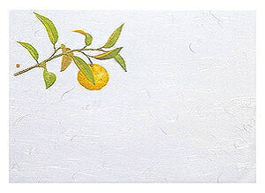 p vol.20 1茳܂ lG Mq (100) 64958