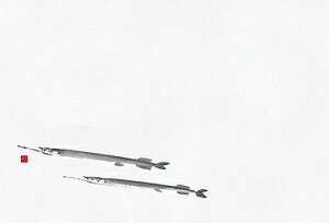 p vol.20 2lGʂ܂ N (׋) (100) 64971