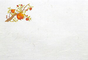 p vol.20 5_a΂܂Ɓ@lG  (100) 65032