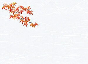 p vol.20 3_a΂܂Ɓ@ԍʁi͂Ȃj@Ԃ݂ (100) 66435