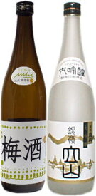 立山 梅酒＆大吟醸 銀嶺立山≪720ML2本セット≫・（梅酒 地酒 ギフト セット ）