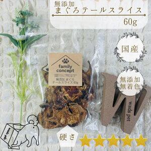 Y ܂ e[XCX^  F Y hbOt[h }O    Jbg W[L[ 60g ^ ^ ^ ^ ^ c VjA AM[ p 