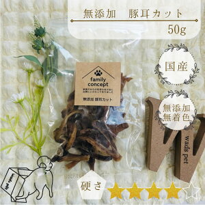 Y ؎Jbg^  F Y hbOt[h ؓ  ~~K[ W[L[ XCX א؂ 50g ^ ^ ^ ^ ^ c VjA AM[ p َq y