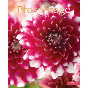J^OMtg v[e[W GNZg ATu 20800~R[Xyz / MtgJ^O x Presentage  lC j TԂ O oYj j Vzj