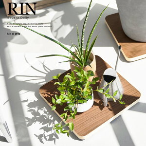 R CeA  XNGA uE_100649 ؐ IV X^CbVyz