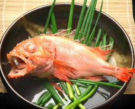 楽天市場 めんめの通販