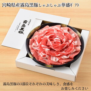 {茧Y؂ԂԉؐMtg B833 ؓ lyz /  ʔ v[g Mtg  /