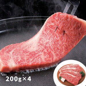 啪 L㋍  T[CXe[L 200g×4 yz /  ʔ yY j Ε  /