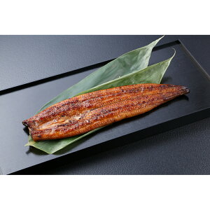 Ȃ≮̑܉V3Zbg yz /  ʔ yY j Ε  /