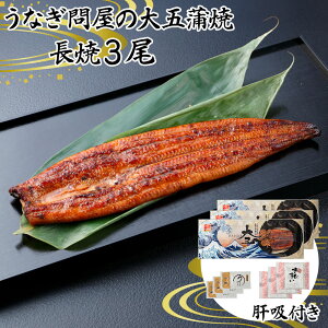 Ȃ≮̑܊ (3j̋zt yz /  ʔ yY j Ε  /