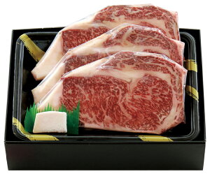 kCYјa[XXe[L RE-358 yz /   ʔ yY j v[g Mtg Ε  /