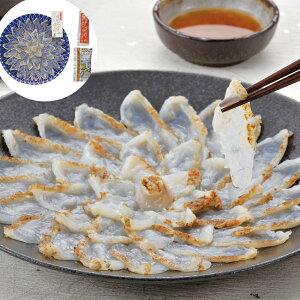 YRY܂ӂthg RC-509 yz /  ʔ yY j v[g Mtg Ε  /