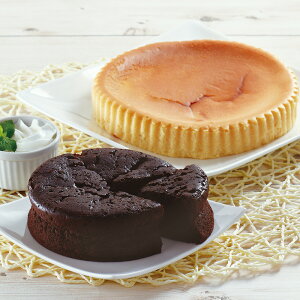 qo`[YP[LƃKg[VR 47B-415 yz 퉷 / `R zCgf[ 2021 Ԃ Zbg lߍ킹 XC[c mَq a َq  ʔ /