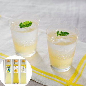 Mq݂ݔ׃Zbg yz 퉷 / 䂸 ݂͂ I hN  ʔ yY j v[g Mtg Ε  /