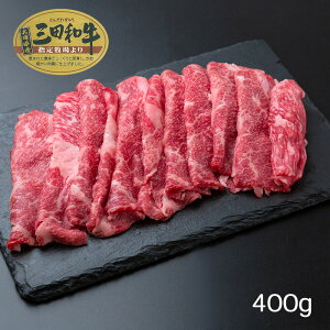 Oca oXCXi400gj yz /   ʔ yY j v[g Mtg Ε  /