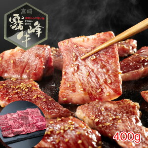 {茧Y  [Xēi400gj yz /   ʔ yY j v[g Mtg hV̓  /