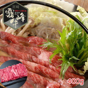 {茧Y  [XĂpi400gj yz /  Zbg  ʔ yY j v[g Mtg hV̓  /