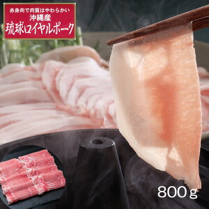 ꗮC|[N Ԃԁiv800gj yz / ؓ Ⓚ  ʔ yY j v[g Mtg  /