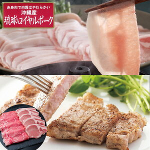 ꗮC|[N [XXe[L&ԂԃZbg yz / ؓ Ⓚ  ʔ yY j v[g Mtg  /