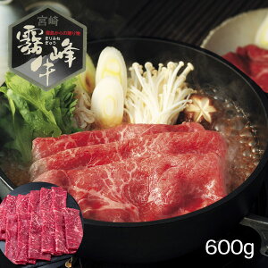 {茧Y  ԐgĂpi600gj yz /   ʔ yY j v[g Mtg  /