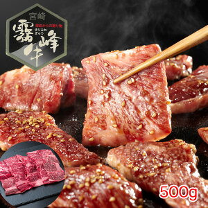 {茧Y  [Xēi500gj yz /   ʔ yY j v[g Mtg Ε  /