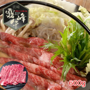 {茧Y  [XĂpi600gj yz /   ʔ yY j v[g Mtg Ε  /