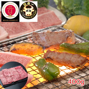  [Xēpi400gj yz /   ʔ yY j v[g Mtg  /