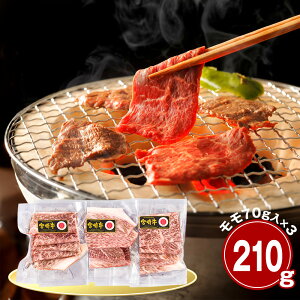 {苍 210g ēp  Yyz /  ʔ v[g Mtg  /