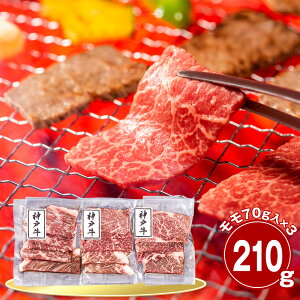  _ˋ 210g ēp  Yyz /  ʔ v[g Mtg  /