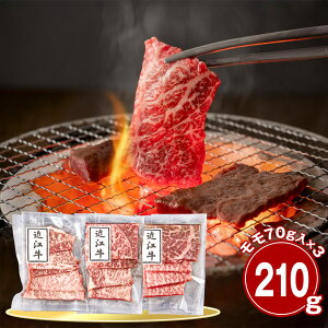  ߍ]210g ēp  Yyz /  ʔ v[g Mtg  /