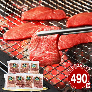 a̎R F싍 490g ēp  Yyz /  ʔ v[g Mtg  /