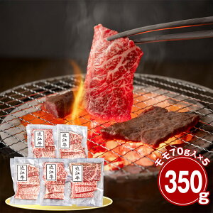  ߍ] 350g ēp  Yyz /  ʔ v[g Mtg  /