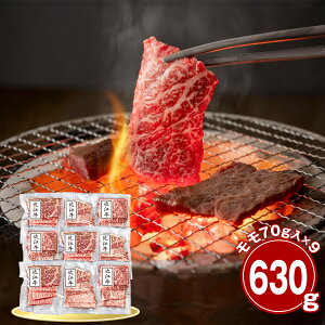  ߍ] 630g ēp  Yyz /  ʔ v[g Mtg  /