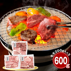 Od ㋍ 600g ēp  Yyz /  ʔ v[g Mtg  /