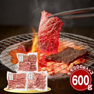  ߍ] 600g ēp  Yyz /  ʔ v[g Mtg  /