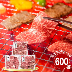  _ˋ 600g ēp  Yyz /  ʔ v[g Mtg  /