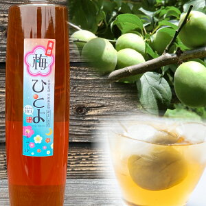 ~ЂƂ ~yz 퉷 /  ʔ yY j v[g Mtg Ε  /