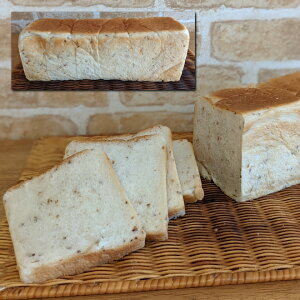 ĐHp 5؂ yz /  ʔ yY j v[g Mtg Ε  /