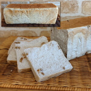 ݐHp 5؂ yz /  ʔ yY j v[g Mtg Ε  /