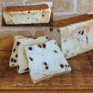 [YςHp 5؂ yz /  ʔ yY j v[g Mtg Ε  /