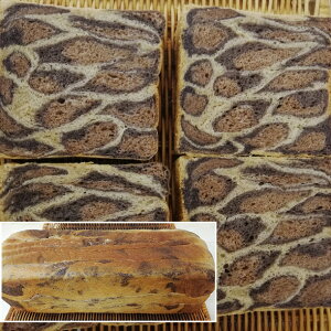 qEHp 5؂ yz /  ʔ yY j v[g Mtg Ε  /