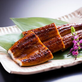 宮崎「鰻楽」九州産うなぎ蒲焼【送料無料】 / お取り寄せ 通販 お土産 お祝い プレゼント ギフト お中元 おすすめ /