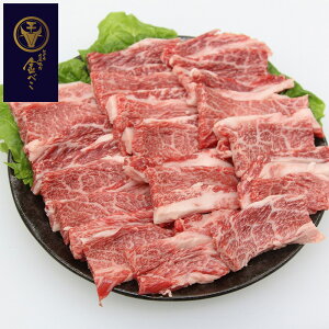  u뎵Џē ׂv Oca ēp o300gyz /  ʔ yY j v[g Mtg Ε  /