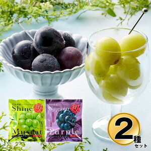 Y Ⓚ t[c ʕ t[c 2ZbgiVC}XJbg iKmp[vj uhEyz /  ʔ v[g Mtg  /