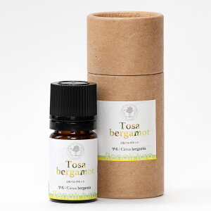 yxKbgyz 퉷 /  ʔ yY j v[g Mtg Ε  /