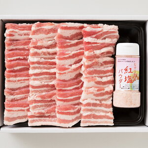 |[Noē500g≖yz / ₫ɂ Ă  ʔ v[g Mtg Ε  /